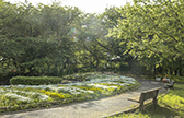 大宮花の丘農林公苑