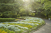 大宮花の丘農林公苑