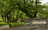 上尾丸山公園