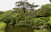 大宮花の丘農林公苑